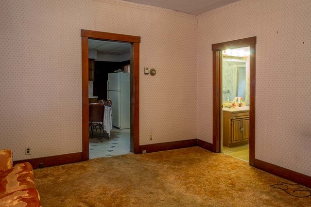 313 Center St, Elgin, IL 60120 photo 5