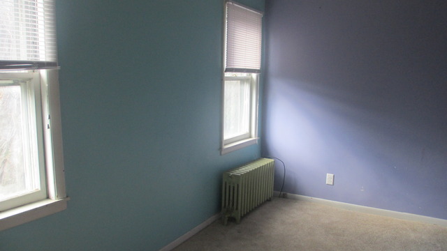 1411 E Lowden Ave, Wheaton, IL 60189 photo 5