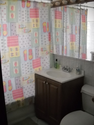5541 W Cornelia Ave, Chicago, IL 60641 photo 9