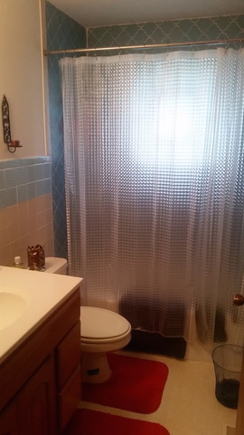 110 Strasma East Dr, Kankakee, IL 60901 photo 8
