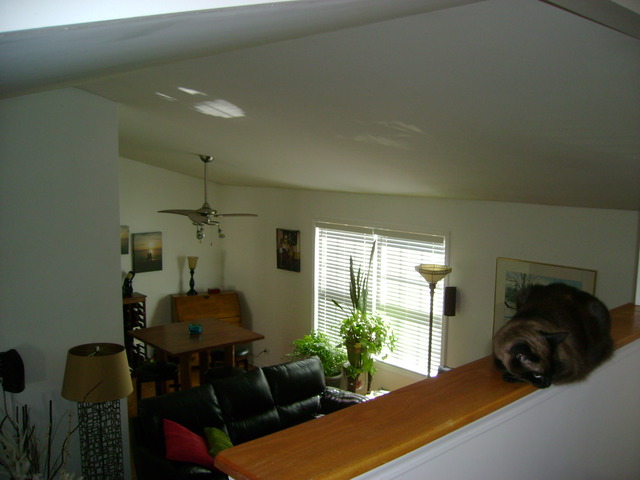 272 Hill Ave, Bartlett, IL 60103 photo 8