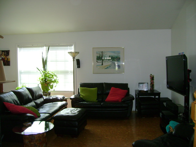272 Hill Ave, Bartlett, IL 60103 photo 2