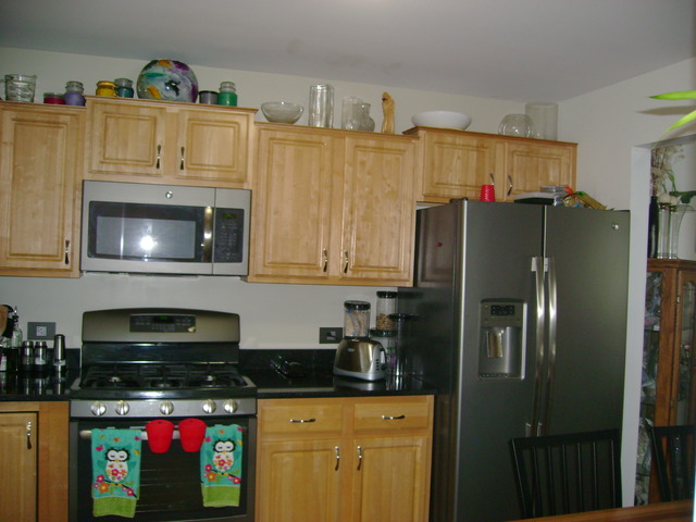 272 Hill Ave, Bartlett, IL 60103 photo 5
