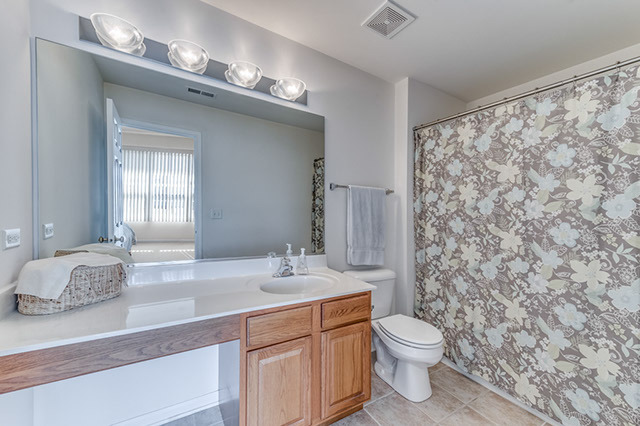 24011 Walnut Cir, Plainfield, IL 60585 photo 14