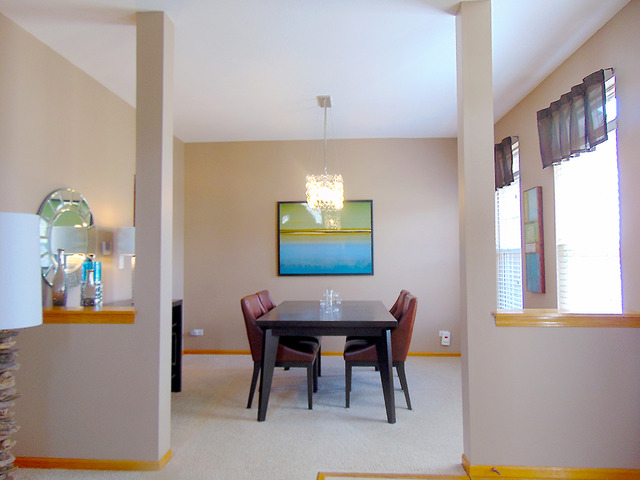 16061 S Arbor Dr, Plainfield, IL 60586 photo 9