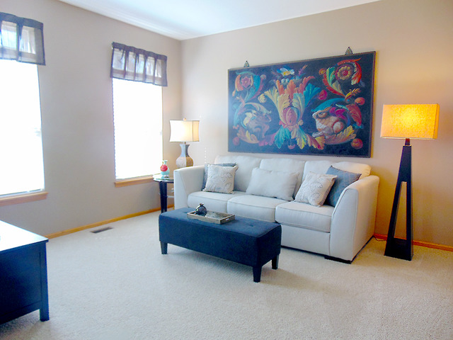 16061 S Arbor Dr, Plainfield, IL 60586 photo 16