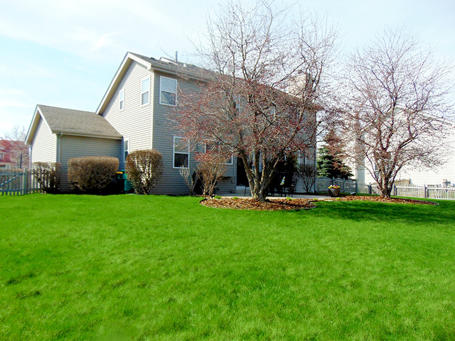 16061 S Arbor Dr, Plainfield, IL 60586 photo 5