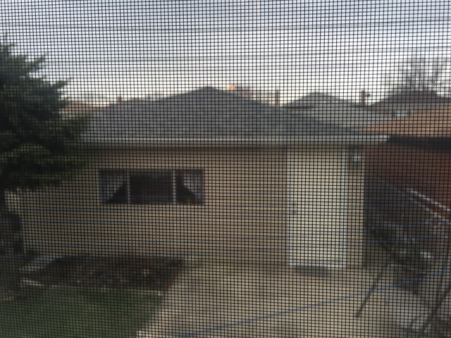 6325 W 63rd Pl, Chicago, IL 60638 photo 16