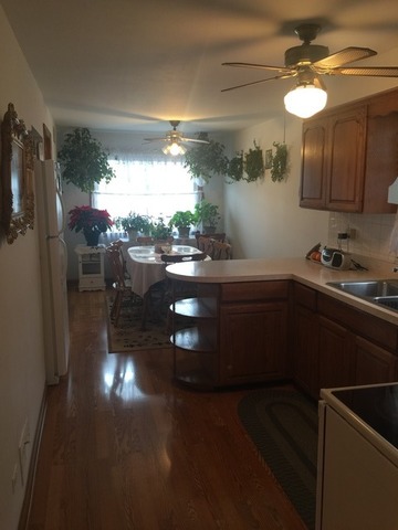 6325 W 63rd Pl, Chicago, IL 60638 photo 6