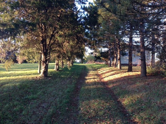 1028 E Delite Inn Rd, Beecher, IL 60401 photo 4