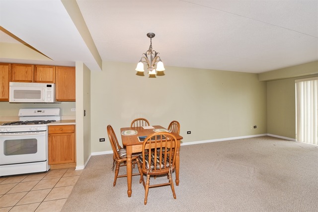 8030 Riverwalk Dr #4E, Lyons, IL 60534 photo 6