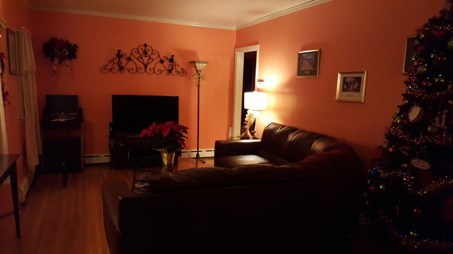 716 Morgan St, Elgin, IL 60123 photo 3