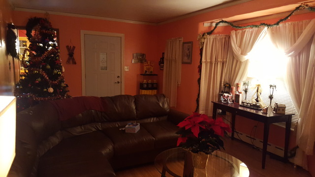 716 Morgan St, Elgin, IL 60123 photo 2