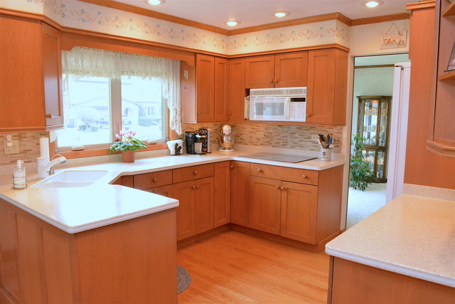 62 Inner Circle Dr, Des Plaines, IL 60016 photo 13