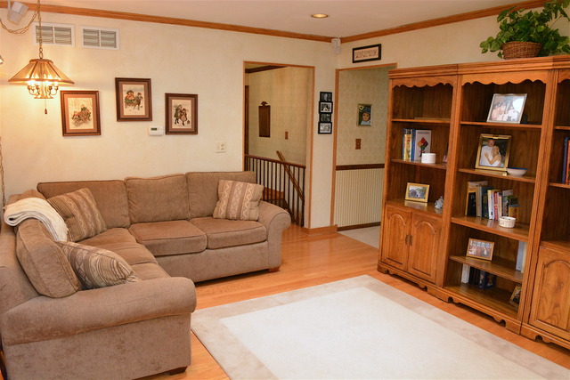 62 Inner Circle Dr, Des Plaines, IL 60016 photo 11