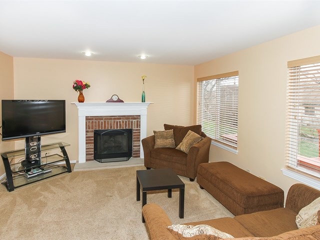 878 Tallgrass Dr, Bartlett, IL 60103 photo 12