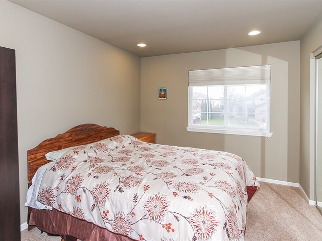 878 Tallgrass Dr, Bartlett, IL 60103 photo 20