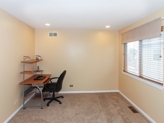878 Tallgrass Dr, Bartlett, IL 60103 photo 17