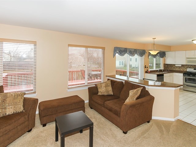 878 Tallgrass Dr, Bartlett, IL 60103 photo 13
