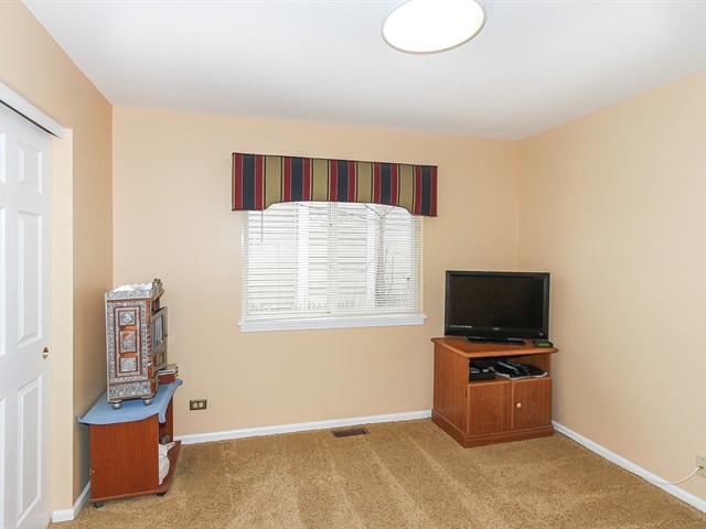 878 Tallgrass Dr, Bartlett, IL 60103 photo 14