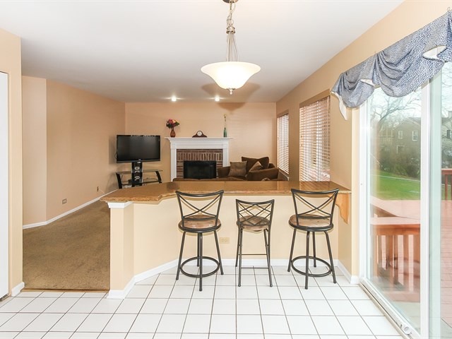 878 Tallgrass Dr, Bartlett, IL 60103 photo 11