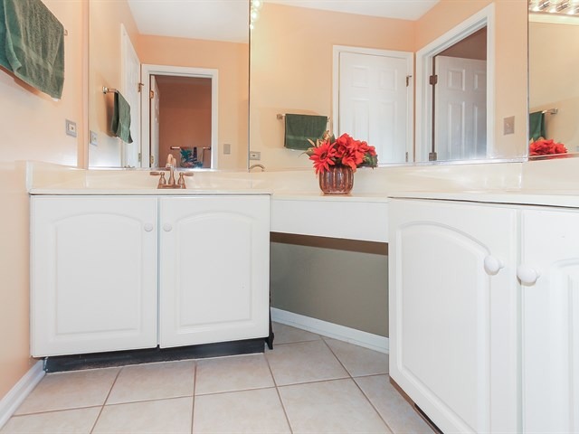 878 Tallgrass Dr, Bartlett, IL 60103 photo 21