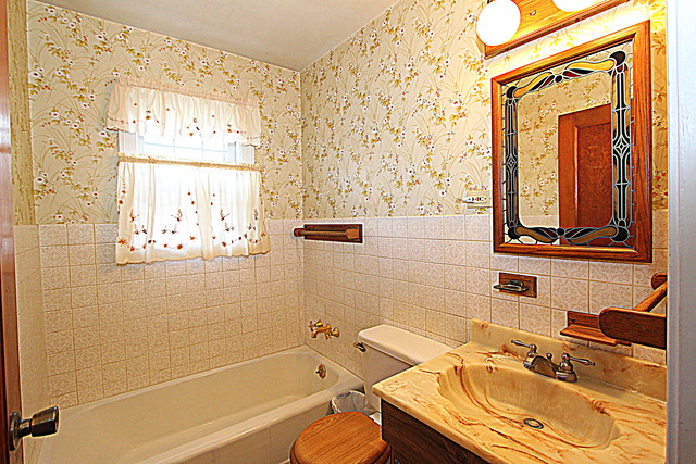 679 Ludlow Ave, Elgin, IL 60120 photo 12