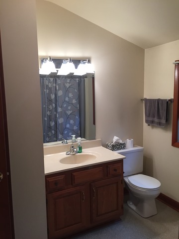 413 Wilcox Ave, Elgin, IL 60123 photo 10