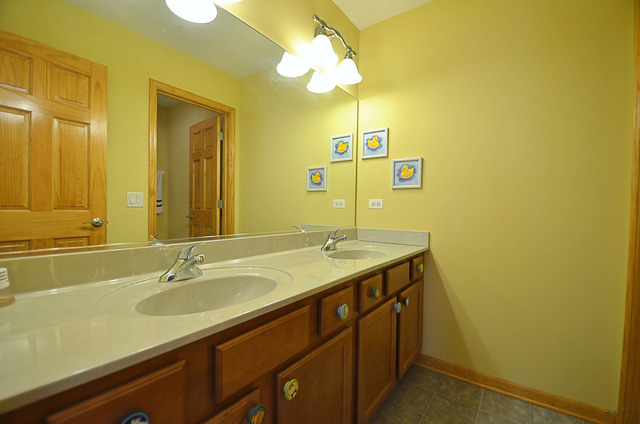 26105 W Milestone Dr, Plainfield, IL 60585 photo 19