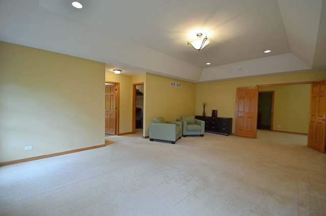 26105 W Milestone Dr, Plainfield, IL 60585 photo 18