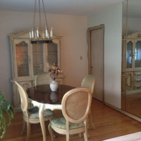 1728 E 92nd Pl, Chicago, IL 60617 photo 5