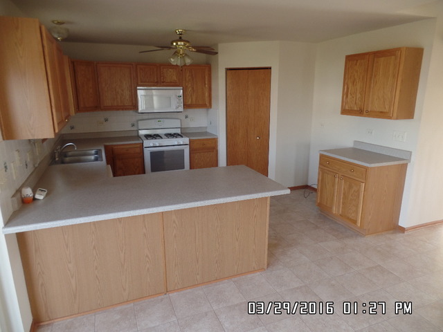 231 E Daisy Cir, Romeoville, IL 60446 photo 4
