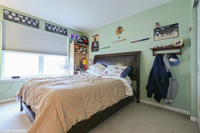 1006 Nighthawk Way, Cary, IL 60013 photo 16