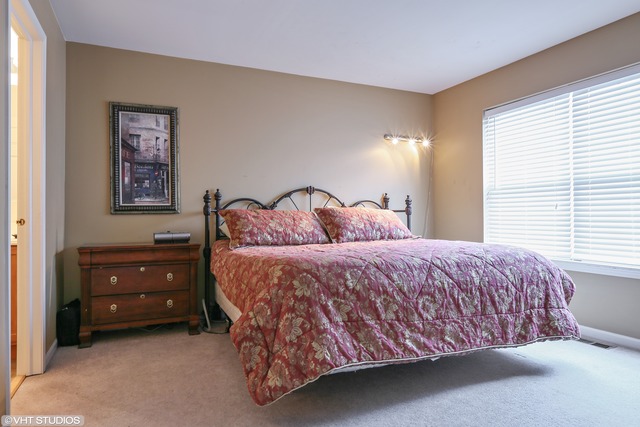 1006 Nighthawk Way, Cary, IL 60013 photo 19