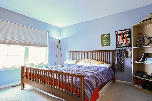 1006 Nighthawk Way, Cary, IL 60013 photo 18