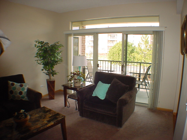 3115 Town Square Dr #102, Rolling Meadows, IL 60008 photo 13
