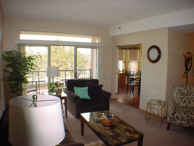 3115 Town Square Dr #102, Rolling Meadows, IL 60008 photo 12