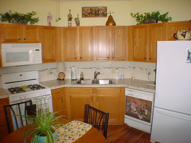 3115 Town Square Dr #102, Rolling Meadows, IL 60008 photo 3