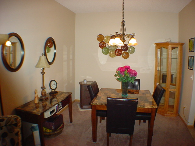 3115 Town Square Dr #102, Rolling Meadows, IL 60008 photo 5