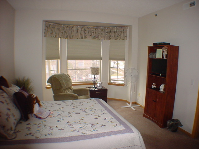 3115 Town Square Dr #102, Rolling Meadows, IL 60008 photo 7