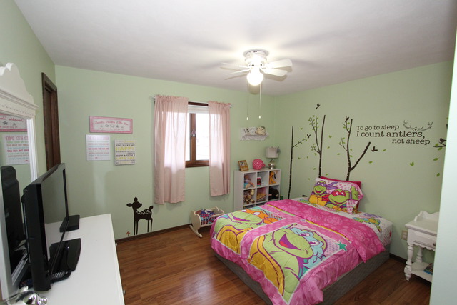 249 E 6th St, Herscher, IL 60941 photo 13