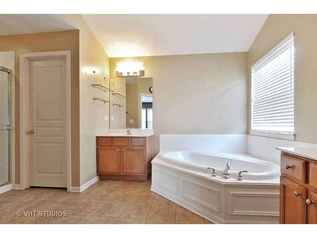 24624 Apollo Dr, Plainfield, IL 60585 photo 9