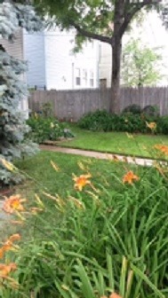 3015 N Gresham Ave, Chicago, IL 60618 photo 9
