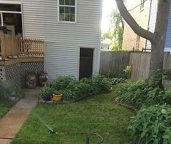 3015 N Gresham Ave, Chicago, IL 60618 photo 8