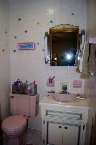 590 S Wall St, Kankakee, IL 60901 photo 20