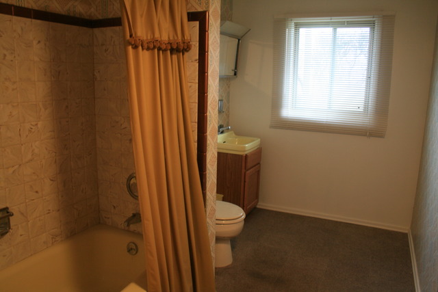 665 Jamison Ln, Hoffman Estates, IL 60169 photo 16