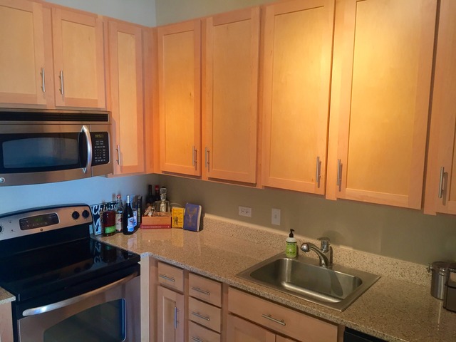 1 E 8th St #409, Chicago, IL 60605 photo 6