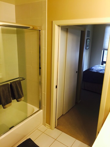 1 E 8th St #409, Chicago, IL 60605 photo 23