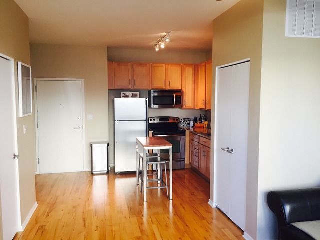 1 E 8th St #409, Chicago, IL 60605 photo 9