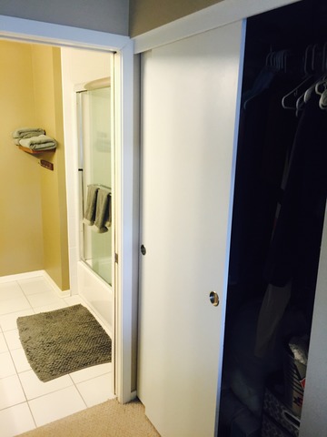 1 E 8th St #409, Chicago, IL 60605 photo 19